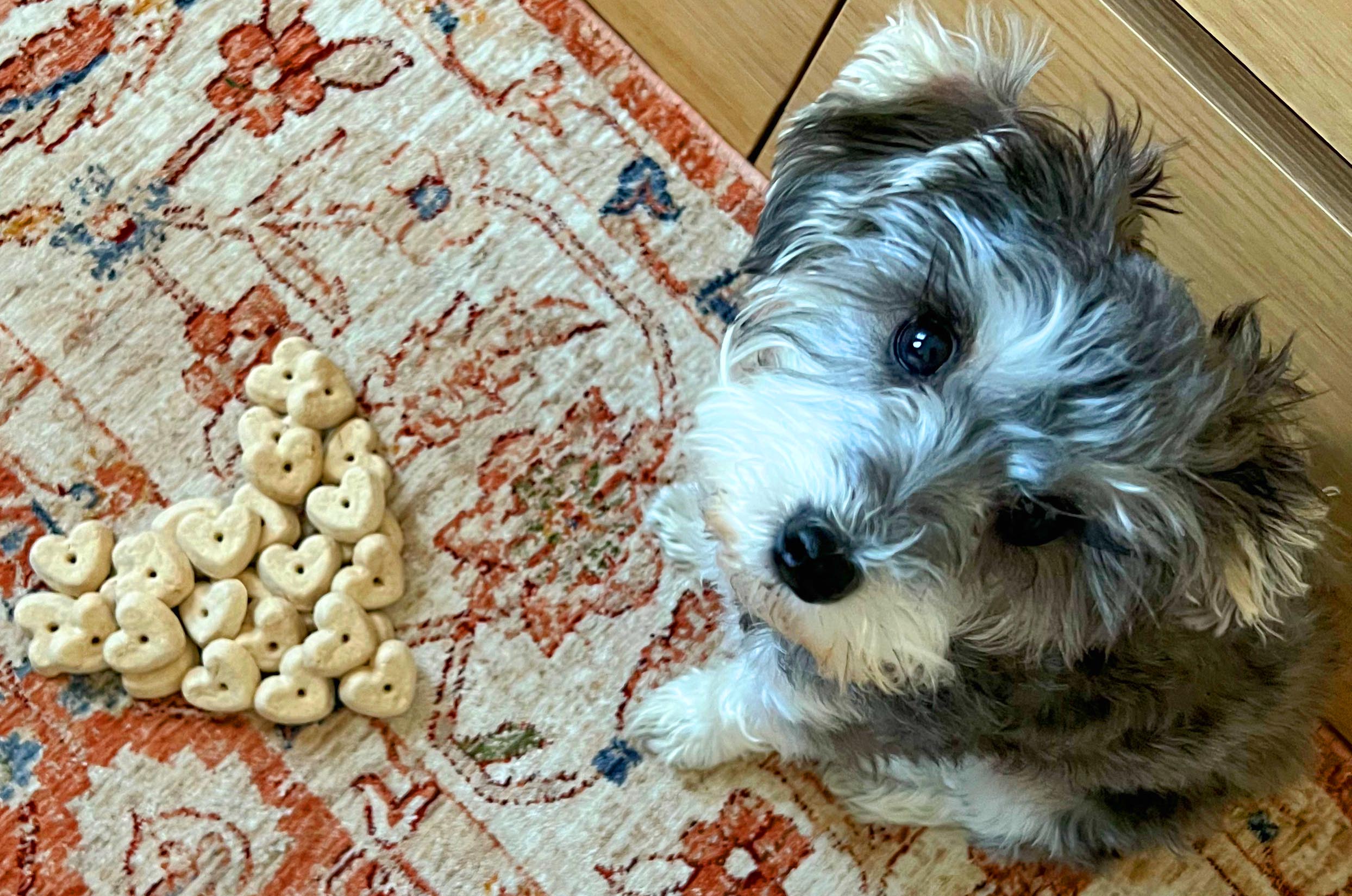 Package: Canna-Pet® Organic Biscuit Assortment - 3 Boxes Organic - Image 5