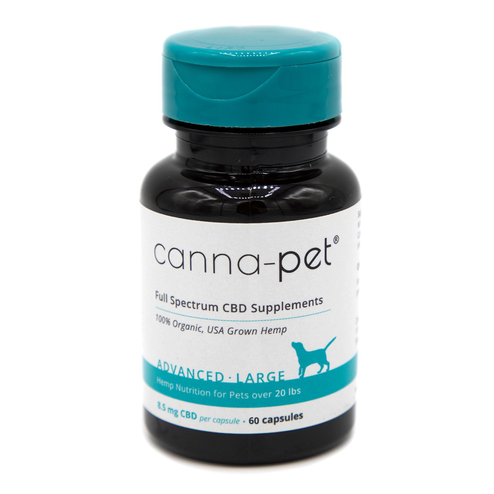 cbd for dogs