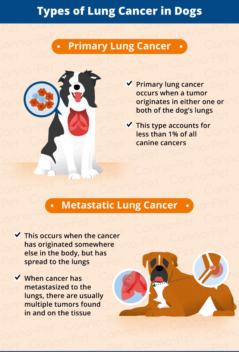 cigarettes make me feel sick Smoker's Flu: Definition, Symptoms, Causes, Treatment cigarettes make me feel sick Smoker's Flu: Definition, Symptoms, Causes, Treatment
