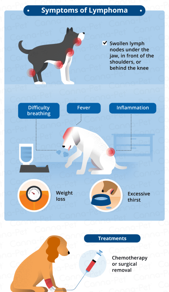 What Causes Swollen Lymph Nodes in Dogs? | Canna-Pet